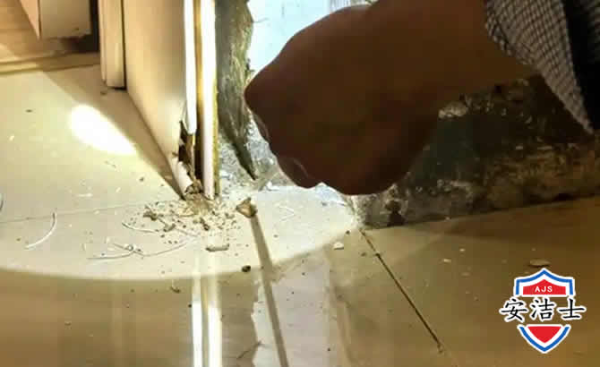 青浦区房屋建筑防治白蚁