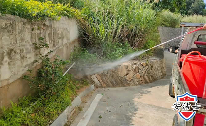 青浦区道路堤坝白蚁防治