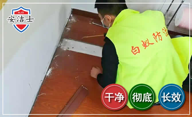 青浦区除四害现场