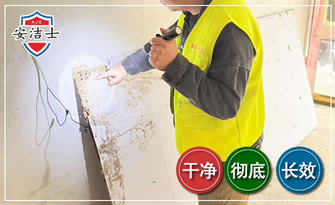 青浦区除白蚁现场