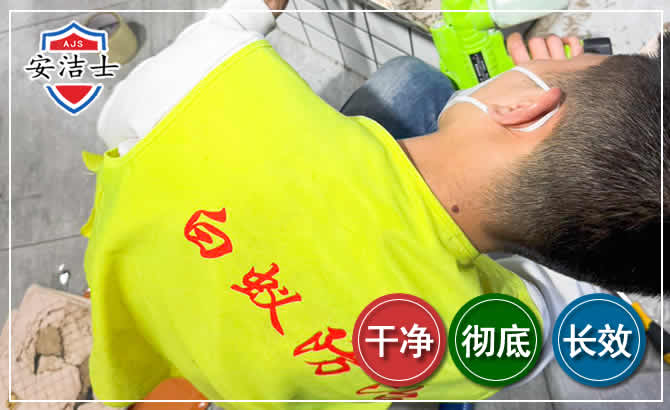 青浦区白蚁根治现场